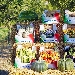 Comunicato stampa: Pozzuoli, presentati i primi risultati del MAC - Monterusciello Agro City, progetto europeo di rigenerazione che punta a trasformare il paesaggio-agrourbano.
 - -
