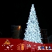 Concerto di Natale - -