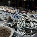 Covid-19 e Dieta Mediterranea: al via il sondaggio

 - A distanza di quasi due mesi dall'inizio del confinamento dovuto al COVID-19, come sono cambiati le nostre abitudini alimentari e il nostro stile di vita?

