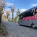 Da Pompei alle ville romane di Boscoreale, Oplontis, Stabia

e al Museo archeologico di Stabia Libero D'orsi - Reggia di Quisisana

Dal 16 dicembre al 31 gennaio - -