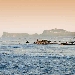 Dal castello di Baia al Maschio Angioino, passando per San Domenico di Napoli: i professionisti di Timeline raccontano i luoghi inaccessibili
 -  archeologi, geologi, storici dell'arte, linguisti, naturalisti che insieme hanno la volont� di riportare alla luce quei luoghi normalmente non accessibili al pubblico