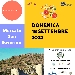 Domenica 18 settembre 2022 Di food in Tour a Mercato San Severino
 - Questa � la quarta tappa nella Valle dell'Irno, sempre nell'intento di
promuovere e valorizzare il territorio salernitano in linea con le
nuove direttive ministeriali
(Ministero Cultura, Ministero delle Politiche Agricole Alimentari e
Forestali e Ministero del Turismo) e regionali.
