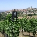 Domenica 9 e domenica 16 dicembre 2018 alla Tenuta Cavalier Pepe Verticale esclusiva dei 2 Taurasi DOCG per Cantine Aperte a Natale 