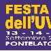 Festa dell'Uva e del Vino Casavecchia - -