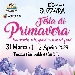 Festa di Primavera - -