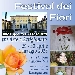 Festival dei Fiori - -