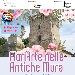 FioriArte nelle Antiche Mura - -