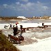 Saline di Trapani - salinari al lavoro - Mario di Alcamo (Trapani)