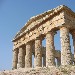 Segesta (TP) - il tempio (esterno) - Mario di Alcamo (Trapani)