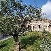 GIORNATA NAZIONALE DEL PAESAGGIO, IL 14 MARZO LE INIZIATIVE ON-LINE DEL PARCO ARCHEOLOGICO

 - Il paesaggio pompeiano, dalle rappresentazioni nella pittura parietale, al racconto dell'eruzione e delle conseguenti trasformazioni, fino alla complessa manutenzione degli attuali spazi verdi