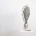 Giorgio Andreotta  Cal� � il vincitore della prima edizione di ACP Green Art Award, il premio fondato nel 2021 da ACP - Palazzo Franchetti e dalla societ� Art Capital Partners - Mostra dal 5 luglio al 27 novembre e Premiazione marted� 5 luglio al Palazzo Franchetti di Venezia