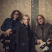 Gov't Mule - -