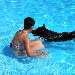 I napoletani amano andare in vacanza con il proprio pet. L'89% parte con il proprio animale
 - L'indagine dell'Osservatorio Quattrozampeinfiera 2021 sulle abitudini dei possessori di animali da compagnia

