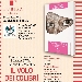 Il Volo dei colibr�, un libro che parla di donne
 - Storie ispiratrici e motivazionali che denotano la grande forza tutta al femminile
