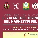 Il valore del territorio nel marketing del vino - -