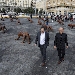 Inaugurata oggi la mostra Wolves Coming di Liu Ruowang curata da Matteo Lorenzelli Arte - Cento grandi lupi hanno invaso la piazza del Municipio di Napoli
