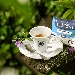 L'Altra Faccia del Tiramis�: il nuovo contest di 50 Top Italy e Caff� Borbone - L'Altra Faccia del Tiramis� � il nuovo progetto ideato da 50 Top Italy in collaborazione con Caff� Borbone. L'iniziativa mira a promuovere la cultura tutta italiana del caff� e del suo ruolo centrale nella preparazione del dolce italiano pi� famoso al mondo; vuole inoltre valorizzare i giovani talenti, comunicando come nasce l'idea di rivisitare un dolce classico come il tiramis� e cosa fa scattare l'estro creativo.