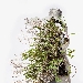 La Biennale Donna torna per la sua XIX edizione dal 27 marzo al 29 maggio il PAC - Padiglione d'Arte Contemporanea di Ferrara che ospita la mostra OUT OF TIME. Ripartire dalla natura - -