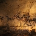 Lascaux 3.0, per la prima volta in Italia, una mostra interattiva per scoprire la Grotta francese - In esclusiva al MANN, dal 31 gennaio al 31 maggio 2020, emozioni tra tecnologia e didattica, un appuntamento espositivo legato alla riapertura della collezione museale sulla Preistoria e Protostoria