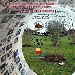 Luned� 27 gennaio, Cinema Teatro Sofia di Pozzuoli: la terza edizione della manifestazione Ricordare per non ripetere - Giornata della Memoria 2020
 - Lo sterminio del popolo ebraico in Europa da parte del regime nazista � una ferita profonda e insanabile nel cuore stesso dell'identit� europea. E' fondamentale far comprendere ai giovani, fin dove la follia della mente umana pu� arrivare nel nome di una ideologia politica, economica e religiosa.
