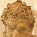 MANN in Colours, nuove evidenze cromatiche sull'Ercole Farnese, capolavoro del Museo
 - Da settembre, scansioni in 3d del Toro Farnese

