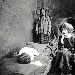 Omaggio a Tina Modotti per il Tam tam Digifest l'8 marzo
 - Domenica 8 marzo, alle ore 18, al PAT - Palazzo delle Arti e Teatro di Caserta si terr� il III appuntamento della 15esima edizione del Tam tam Digifest con la proiezione di Pelle di tigre, film statunitense del 1920 con protagonista Tina Modotti. In occasione della Festa della Donna, si vuol omaggiare l'attrice e fotografa italiana.