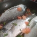 Orata all'acqua pazza - -