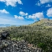 Pasquetta 2023, il 10 aprile l'eco-escursione sul Vesuvio nella natura - -