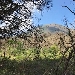 Pasquetta sul Vesuvio con le eco escursioni a cura di Econote e Vesuvio Natura da Esplorare 
 - Si rinnova la tradizione del Luned� in albis da trascorrere insieme sul Vesuvio nel pieno rispetto del verde e della natura
