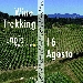 Riprendono le attivit� a Lapio, lo storico Borgo del Fiano, a cura dell'Amministrazione Comunale di Lapio e dell'associazioneLandofHirpinia.  - Un'occasione imperdibile per chi, quest'anno, ha optato per una vacanza alla volta dei percorsi naturalistici e per l'enogastronomia. 