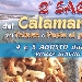 Sagra del Calamaro Fritto - -