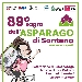 Sagra dell'Asparago di Santena - -