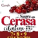 Sagra della Cerasa Cilentana - -