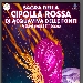 Sagra della Cipolla Rossa - -