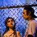 Signs of Love di Clarence Fuller vince la prima edizione del Premio Corbucci ad Alice nella Citt�.
 - Nel cast i giovani figli d'arte Dylan Penn e Hopper Penn.

