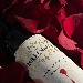 Sul Vesuvio nasce Millennial, il vino della generazione Y che guarda al futuro, rispettando il passato - -