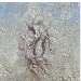 Superbia. Nelle profondit� dell'hybris, opere di Agostino Arrivabene. Museo Civico di Crema e del Cremasco, 5 marzo-3 aprile 2022
 - -