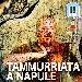 Tammurriata a Napule - -