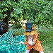 Teatro in Cammino, dal 28 luglio all'8 agosto spettacoli teatrali per famiglie e ragazzi
 - Carovana artistica, percorsi teatrali per famiglie e ragazzi in giro per la Campania Pioppi 28 luglio - a Piano di Sorrento 30 luglio - Sant'Agata sui due Golfi 1 agosto - Lacedonia 6/7/8 agosto



