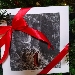 Terme Stufe di Nerone, per Natale 2019 dedica speciale a Dante Alighieri e al Lago d'Averno
 - In arrivo il nuovo cofanetto regalo delle Terme Stufe di Nerone