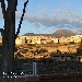 Un anno al Parco di Ercolano al costo di un giorno al Parco

 - 