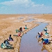 Utama - Le terre dimenticate di Alejandro Loayza Grisi vince il Premio del pubblico al Festival del cinema spagnolo e latinoamericano
XV edizione - -