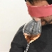 VINI BENDATI a Villa Alma Plena - 