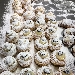 Zeppole - -