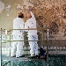 avvio del restauro del Mosaico di Alessandro al MANN
 - Il Direttore del MANN, Paolo Giulierini: Scriviamo una pagina importante per la storia del Museo e la conservazione dei beni culturali.