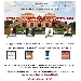 20/12 - Villa Signorini - Ercolano (NA) - Festa dell'Associazione Spaghettitaliani e dei Prodotti di qualit - -
