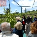 26/05/2013 - Cantine Aperte - Vini Sorrentino - Boscotrecase (NA) - -