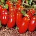 -pomodoro San Marzano dop - -