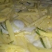 focaccia con patate - -