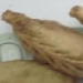 Culurgiones ogliastrini fritti - -
